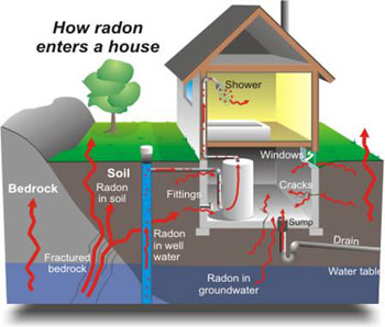 Home Buyers Protection Radon Infographic
